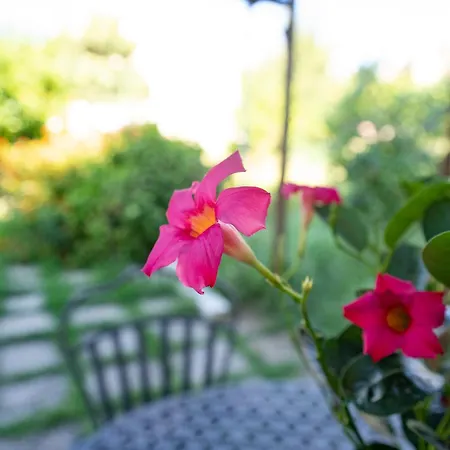 아파트 Nido Mediterraneo *