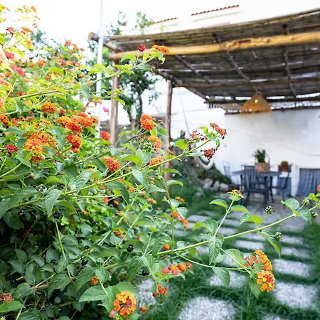 아파트 Nido Mediterraneo