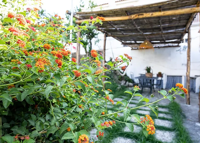 Apartamento Nido Mediterraneo